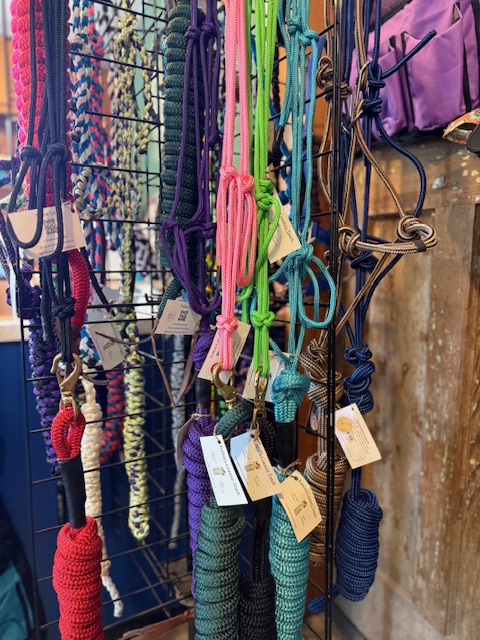 halters-reins-horse-rising-gear