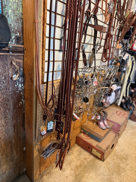 western-halters-reins-vancouver-island