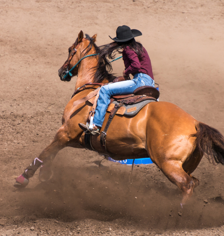 grit and grace barrel racing