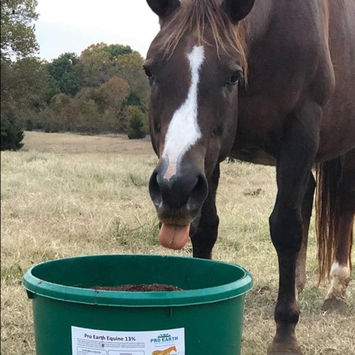 zesterra-lick-tub-equine-health-care-supplement