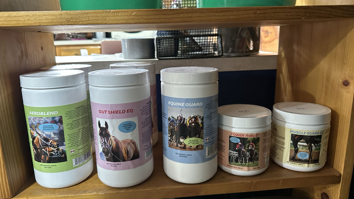 Equine Guard, Aeroblend Gut Shield EQ, Muscle Guard EQ, Power Thrust horse health supplements